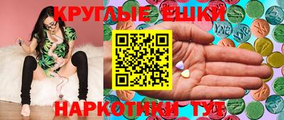 амф Гусев