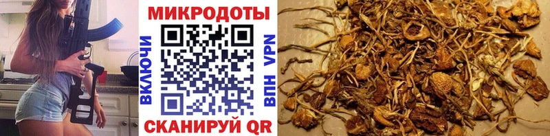 Псилоцибиновые грибы Cubensis  omg онион  Миасс 