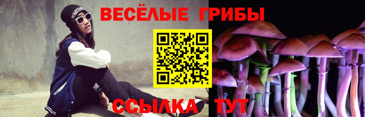 Миасс  Псилоцибиновые грибы Psilocybe  Вход с VPN 